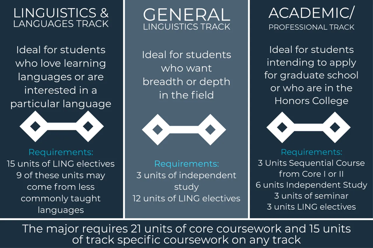 Linguistics emphases options.